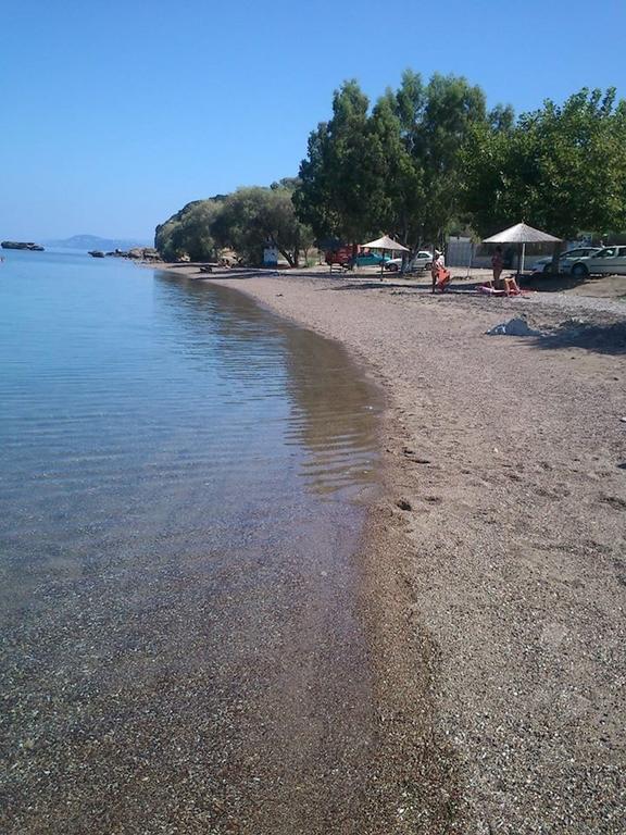 Evoikos Beach & Resort Livanátai Extérieur photo