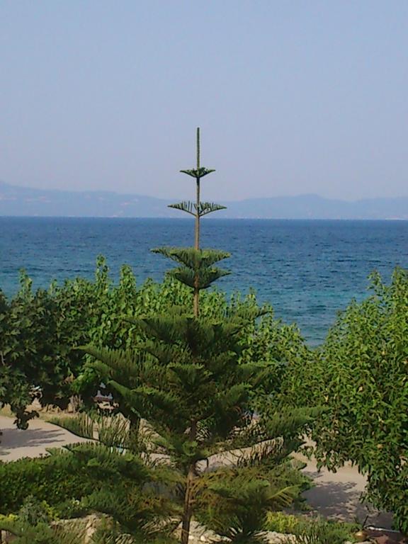 Evoikos Beach & Resort Livanátai Extérieur photo